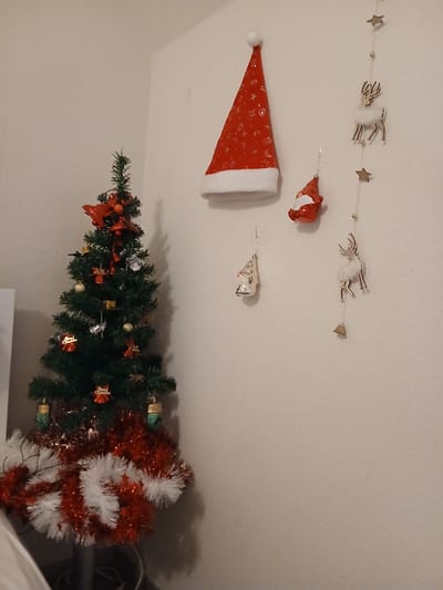 This media file captures a festive Christmas decoration display in a domestic setting, likely in Frankfurt, Germany. The primary subjects are various Christmas ornaments and decorations adorning a wall and a small artificial Christmas tree.
On the wall, a garland of small golden beads and wooden cutouts of stars and angel-like figures is strung horizontally. Below this, a large, red Santa hat with white trim is prominently displayed, adorned with white star and snowflake patterns. To the right of the hat, a string of delicate ornaments is visible, including a silver bell and a red and white fox figurine, and a small silver ornament resembling a sheep.
In the foreground and to the right, a small, decorated artificial Christmas tree stands. It is adorned with green tinsel, small red bows, orange berries, gold baubles, silver bells, and other miniature ornaments with the word "Christmas" inscribed on them. The tree is further decorated with a festive red and white tinsel garland.
The scene appears to be indoors, with a light-colored wall as the background. The lighting suggests it could be daytime or artificial lighting, creating a warm and festive atmosphere. There are no people visible in the image. The overall impression is one of Christmas preparations and holiday cheer.