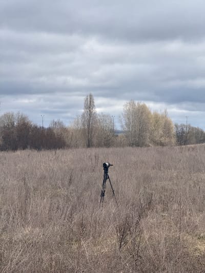 A landscape photograph taken in Kurchatov, Russia, presents a monochromatic scene dominated by dry, overgrown vegetation. The composition is divided vertically, with the right side occupied by a field of tall, dead grasses and sparse, bare bushes, stretching into the distance. A camera tripod is positioned within this field, likely indicating a photographer's presence or recent activity. The left side of the image showcases a cloudy sky, creating a muted, grey backdrop. Bare trees line the horizon where the sky and field meet, and faint streetlights are visible. The overall impression is one of dormancy and a sense of desolation.