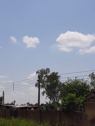 The image depicts an outdoor scene in Palade, Nigeria, characterized by a clear blue sky with scattered white clouds. In the foreground, a low, brick wall runs horizontally across the frame, topped with dense green vegetation. Above the wall, a cluster of trees, some with sparse leaves and others with dense foliage, are visible. Several utility poles with numerous wires stretched between them are prominent features, crisscrossing the scene. In the background, the tops of various buildings with corrugated metal roofs can be seen, suggesting a residential or semi-urban area. The overall impression is of a rural or semi-developed environment under a bright sky.