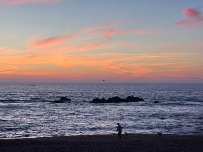 An outdoor scene captures a sunset over the Atlantic Ocean at a beach in Aldoar, Foz do Douro e Nevogilde, Portugal. The sky transitions from a light blue at the top to vibrant orange and pink horizontal cloud streaks across the mid-section, descending to a darker pink at the horizon. The sea is dark blue with visible waves, and three prominent dark rock formations are partially submerged in the mid-distance. A small, dark boat containing two discernible figures is visible on the water in the far left-midground. A dark, bird-like object is in flight above the horizon in the upper-midground. The foreground features a dark sandy beach where a silhouetted male figure stands on the right, appearing to hold a leash. Two dogs are present on the sand; a smaller dog near the man's feet and a slightly larger dog positioned further right, closer to the water's edge.