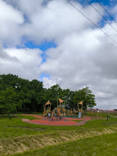 An outdoor children's playground is pictured on a cloudy day in Laskino, Russia. The playground features a complex structure with slides, climbing nets, and swings. It is situated on a red rubber surface surrounded by green grass and trees. In the background, residential buildings with orange roofs are visible. Overhead, power lines crisscross the sky, and a lone bird is captured mid-flight.
