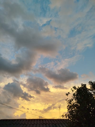 The image depicts a dusky sky above the city of Donskoye, Russia. The sky is a gradient of blues and yellows, with scattered clouds ranging from dark gray to wispy white. The lower portion of the image shows the silhouette of a dark green tree on the right, its branches reaching upwards. Below the tree, a dark gray tiled roof runs horizontally across the bottom of the frame. Two thin black wires stretch across the roof and into the sky. A faint, thin antenna is visible against the sky to the left of the tree. The overall scene is a natural landscape at dusk.