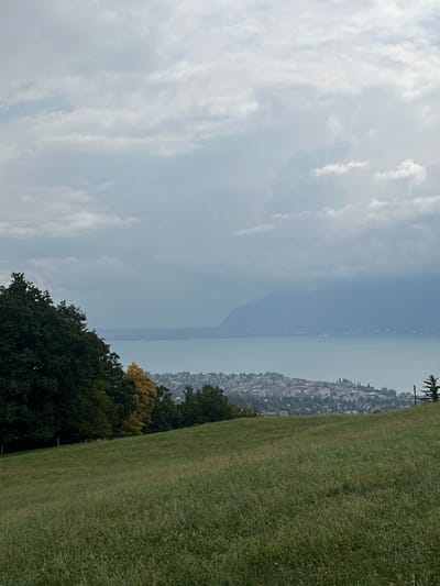 The image presents an elevated view from a grassy hillside, overlooking Lake Geneva and a town situated along its shoreline, consistent with a location in Jongny, Switzerland.
In the immediate foreground, a broad, upward-sloping expanse of tall, green and tan grass dominates the lower two-thirds of the frame. To the left, a cluster of dark green deciduous trees partially obscures a fence line; one tree within this group exhibits distinct yellow foliage. On the far right, a single dark green conifer tree stands adjacent to a utility pole.
The midground features a large body of light blue-green water, identified as Lake Geneva. Along the near bank of the lake, a densely populated town is visible, characterized by numerous buildings of varying sizes and roof colors.
In the background, a distant mountain range appears across the lake as a dark grey-blue silhouette, partially veiled by atmospheric haze or low clouds. The sky overhead is uniformly overcast with a dense layer of grey and white clouds. No human figures, animals, or specific actions are discernible within the scene.