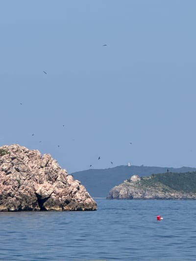 The image depicts a coastal scene in Sveti Stefan, Montenegro, under a clear blue sky. In the foreground, a large, jagged rock formation juts out from the calm, blue water. Further in the distance, a green, hilly island is visible. Perched atop this island are several structures, including what appears to be a lighthouse and a small building with a red roof. A bright red buoy floats on the water between the rocky outcrop and the island. Numerous birds are scattered across the sky, some flying in formations, others soaring individually. The overall impression is one of a serene, natural landscape with signs of human presence.