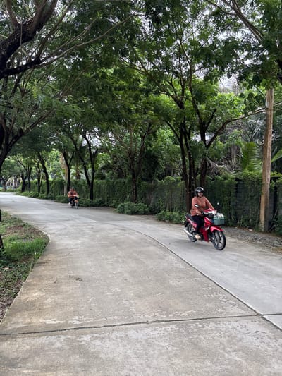 The image shows a paved road lined with lush green trees on both sides, creating a tunnel-like effect. A woman wearing a helmet and an orange long-sleeved shirt is riding a red motorcycle with a basket in front, in the foreground on the right side of the road. In the background, another person on an orange motorcycle is visible further down the road on the left. The road appears to be in a semi-rural or suburban area, with dense vegetation and a stone wall bordering the right side of the road. The scene is illuminated by natural daylight, suggesting it was taken outdoors in the city of Sakhu, Thailand.