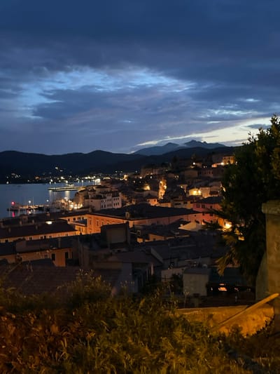 This image captures a night view of Portoferraio, Italy, from a hill overlooking the town. The coordinates provided, latitude: 42.815, longitude: 10.331, place the location near the Forte Stella, a 16th-century fortress located in the town. The sky is a dark blue with clouds, illuminated by the lights of the town below. The scene is dominated by the silhouette of the hills in the background and the numerous buildings of the town in the foreground. Street lights and windows of the buildings cast a warm glow over the town. In the foreground, a patch of greenery obscures the lower part of the image, with some buildings visible through the foliage.  The image appears to have been taken from a public place, potentially a lookout point or a park, offering a wide perspective of the town. There are no people or objects visible in the foreground, indicating that the image may have been taken late at night or during a quiet time of day. The overall atmosphere is peaceful and serene, highlighting the tranquil beauty of Portoferraio at night.