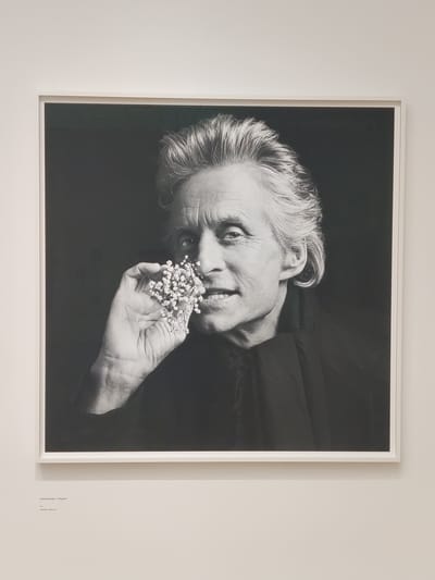 This is a black and white photograph framed and hung on a plain wall. The photograph depicts a close-up portrait of an elderly person, likely female, with white hair styled upwards and to the side. The subject is looking towards the camera with a gentle, smiling expression, their head tilted slightly. Their right hand is raised, holding a small cluster of delicate white flowers near their face, as if smelling them. The background is dark and out of focus, drawing attention to the subject and the flowers. The lighting highlights the wrinkles and texture of the subject's skin, adding to the intimacy of the portrait.
On the wall to the right of the frame, there is visible text. It appears to be a label associated with the artwork, providing information such as the artist's name and the title of the piece, "Michael Douglas, W. H. Auden". The text is oriented vertically and written in a small font. The overall mood of the photograph is one of quiet joy, contemplation, and appreciation for simple beauty. There are no discernible cues for time of day or weather, but the indoor setting is implied by the presentation of the artwork. The location context of The Hague, Netherlands, does not provide specific visual cues within the image itself.