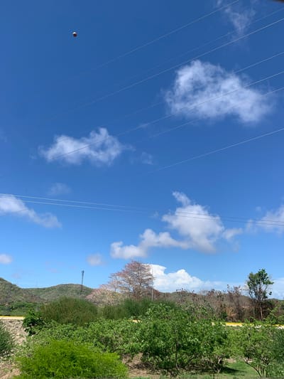 A football is suspended in mid-air against a bright blue sky with scattered white clouds. Below, several power lines crisscross the frame. The landscape is characterized by rolling green hills dotted with trees, some of which appear to be flowering with pink blossoms. A telecommunications tower is visible on one of the hills. In the foreground, lush green foliage and vegetation are abundant. The scene suggests an outdoor, possibly rural or semi-rural, setting.