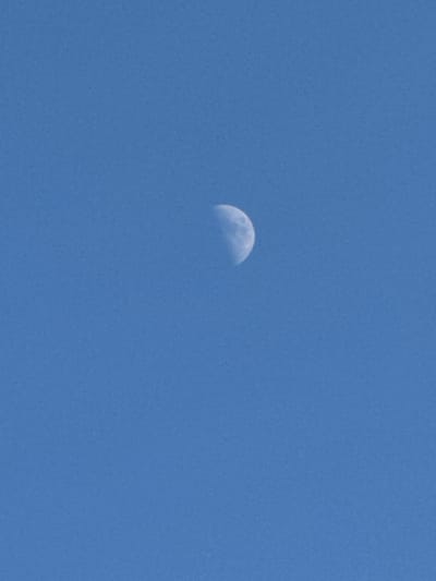 The image shows a crescent moon in a clear blue sky. The moon is positioned in the upper left quadrant of the frame. The sky is a uniform shade of blue.
There is no information in the image about the location in the city of Neftekamsk, Russia. Therefore, I cannot include any information about this.