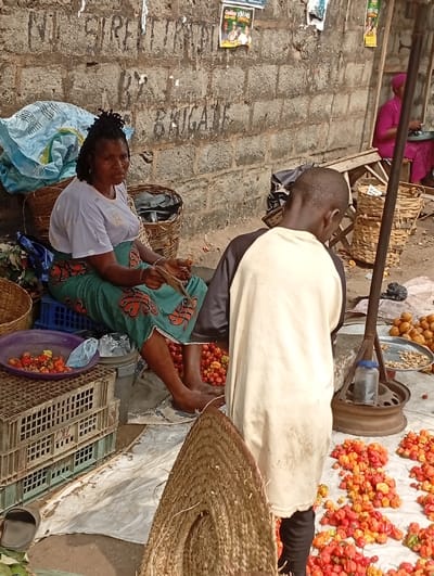 In an outdoor market setting, a woman wearing a patterned skirt and light top sits next to baskets and crates, appearing to be sorting through produce. A young person in a two-toned shirt stands nearby, facing towards a spread of bright red and orange peppers. A straw basket sits in the foreground. In the background, a brick wall is marked with writing and posters. Another person in pink clothing sits further back.