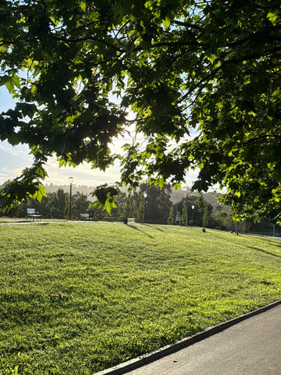 The image captures a sunny day in Gijón, Spain. A large tree with green leaves dominates the left side of the frame, partially obscuring the sky. Sunlight filters through the foliage. To the right of the tree is a vast expanse of green grass, suggesting a park or open field. In the distance, trees, street lights, and benches can be seen. A paved pathway runs along the right edge of the frame. Two people are standing in the background.