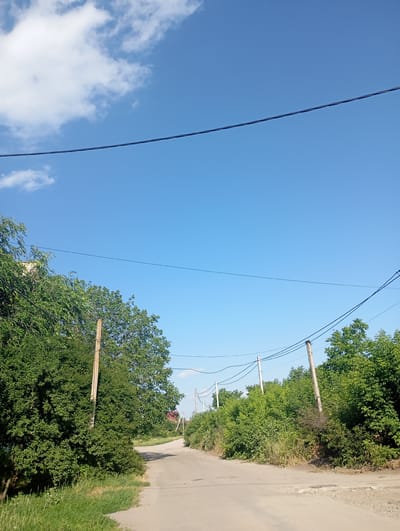 A paved road curves through a lush, green rural landscape under a bright blue sky dotted with white clouds. The scene is bathed in clear daylight, suggesting it is mid-morning or early afternoon on a pleasant day.

On the left side of the road, dense green foliage and trees create a thick hedge, with a few taller trees reaching upwards. A wooden utility pole stands prominently within this greenery. On the right side, the vegetation continues, with more trees and bushes lining the road and extending into the distance. Several more wooden utility poles, strung with power lines, are visible along this side, indicating a rural residential area or a service route.

The road itself appears to be a country lane or a less-trafficked road, with some patches of grass and dirt on the verges. In the background, hints of red-tiled roofs can be seen peeking through the trees, suggesting houses or buildings nearby. A manhole cover is visible on the road surface in the mid-ground.

The overall impression is one of a serene, natural setting on a beautiful, clear day. There is no visible text in the image. The activity taking place is simply the quiet existence of the landscape, with the implication of a journey or passage along the road. The lack of people or active events contributes to a sense of tranquility.