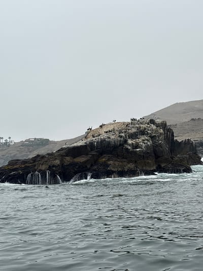 The image depicts a rocky cliff face jutting out into the ocean, located in Ancón, Peru. Several dark-colored birds are perched on the cliff's ledges and surface. The water is choppy, with visible ripples and movement. Above the cliff, a hillside is partially visible in the background, receding into a hazy sky. Further down the cliff face, some buildings and palm trees can be seen. The overall atmosphere suggests a coastal environment.