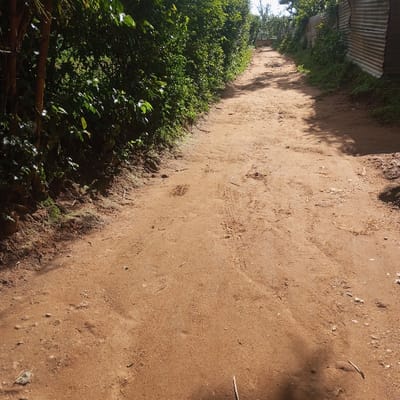 The image depicts a narrow, unpaved dirt path in Mahiakalo ward, Kenya, viewed from a low perspective looking forward along its length. The path, composed of reddish-brown earth, shows numerous impressions including faint tire tracks and scattered debris such as small twigs and dried plant matter. To the left, a dense wall of vibrant green foliage, appearing as a hedge or thick vegetation, lines the path, with a partial view of a tree trunk in the immediate foreground. To the right, a weathered, corrugated metal fence runs parallel to the path, exhibiting areas of rust and discoloration. Beyond the fence, additional sparse green vegetation is visible. Shadows are cast on the right side of the path, indicating direct sunlight from an elevated position. The path recedes into the distance, appearing slightly uphill, with a patch of clear sky visible at the furthest point. No individuals, animals, or active interactions are present in the scene.
