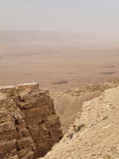 The image depicts a desert landscape viewed from a high vantage point, likely a cliff or canyon edge. The location is Mitzpe Ramon, Israel.
The right side of the image shows a rocky cliff face with various layers of eroded stone and a small patch of vegetation. The cliff transitions into a vast, arid plain stretching into the distance on the left. A hazy atmosphere obscures the horizon and distant features.
The plain is sparsely vegetated, with occasional dry riverbeds or drainage patterns visible. The color palette is dominated by earth tones, primarily shades of beige, brown, and grey.