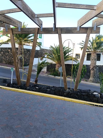 This outdoor image captures a static scene in Tías, Spain, focusing on an elaborately constructed wooden pergola and its surrounding landscape. In the foreground, a paved area features grey and reddish-brown interlocking bricks laid in a herringbone pattern, bordered by a bright yellow curb.

Beyond the curb, a low wall made of dark, volcanic-looking rocks defines a planting bed. From this bed, the wooden pergola rises, comprising several diagonal and horizontal beams connected by silver metal brackets. Within the rock bed, various plants are visible: multiple palm trees of different sizes, including a smaller one leaning significantly to the left, and several tall, segmented cacti growing upright. One of the larger palm trees on the left has a string of yellow decorative lights wrapped around its trunk.

Behind this planting area, a paved road curves gently. On the opposite side of the road, a dark stone wall fronts white buildings, one of which features prominent dark-framed windows. The sky is clear and light blue, suggesting either early morning or late afternoon, with soft, ambient sunlight casting gentle shadows.

A green and white sign stands on a white post to the left of the road. It displays a white arrow pointing left and the Spanish text "PUNTO DE ENCUENTRO," meaning "Meeting Point." The scene is devoid of people or specific activities, portraying a tranquil and well-maintained outdoor environment characteristic of the region.