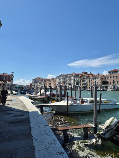 The image depicts a sunlit canal scene in Venice, Italy, likely the Grand Canal, viewed from a *fondamenta*. The sky is clear blue with scattered white cumulus clouds.
In the foreground, a stone walkway runs diagonally from the lower left towards the mid-left. The left half of the walkway is in shadow, while the right edge, bordering the canal, is brightly lit. A male figure, dressed in a dark t-shirt and dark shorts with white shoes, walks away from the camera on the shadowed portion of the walkway. A small puddle is visible on the walkway near him.
To the right of the walkway, the canal features several wooden mooring posts. A white motorboat, identified as a "TAXI" with the registration "VE 9156," is prominently docked. Further right, an outboard motor with a white propeller, partially covered by a green and white striped tarp, is visible in the water. The water itself is a murky greenish-blue, with extensive patches of dark green algae or seaweed floating near the bank and around the boats. A small, crude wooden bench or platform is partially submerged in the water amidst the algae.
In the mid-ground and background, a continuous line of multi-story historic Venetian buildings with terracotta roofs, classical facades, numerous windows, and balconies extends along the far bank of the canal. The buildings exhibit warm tones of yellow, ochre, and red. Several gondolas are moored near a green bridge in the distance, and a sign partially visible above them reads "GONDOLE". A black lamppost with two green lanterns stands on the promenade to the left. The canal recedes into the distance, lined by more buildings and boats.