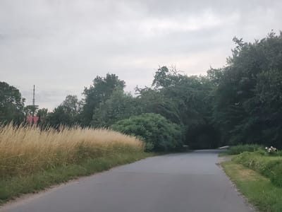 This is a landscape photograph taken in Schönwalde am Bungsberg, Germany. The image shows a road curving to the right, bordered by tall, dry grass on the left and a dense line of trees and bushes on the right. In the distance, a radio tower is visible above the trees, and a red-roofed building is partially obscured by foliage. The sky is overcast with gray clouds. The overall scene depicts a rural or semi-rural setting on a cloudy day.