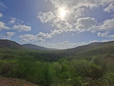 The image captures a sun-drenched, verdant valley in the vicinity of Tacarigua, Venezuela. Rolling hills covered in dense green foliage flank the valley, with a winding road subtly visible through the trees in the distance. The sky above is a bright blue, dotted with fluffy white clouds, and the sun is prominently featured, casting a warm glow and lens flare. The foreground features a rough, brown terrain with dry brush and some green plants. The overall scene depicts a serene and natural landscape, characteristic of the region.