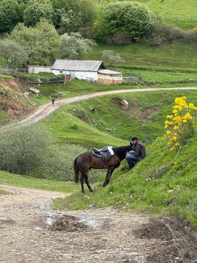 A medium, eye-level shot captures a rural landscape in Верхняя Мара, Russia. A man in a dark jacket and jeans leans over a saddled brown horse standing on a grassy hillside, near a patch of yellow wildflowers. Behind them, a dirt path winds through the green hills, past a building with a grey roof and light-colored walls. The environment includes trees and fields, suggesting a pastoral setting.