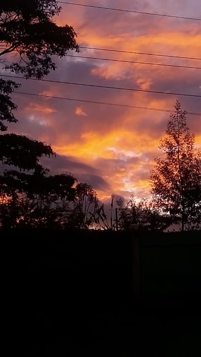 The image displays an evening or morning sky over Ndeiya, Kenya, featuring clouds illuminated with strong orange and purple tones. The lower foreground is rendered in silhouette, showing dense vegetation and tree lines. Distinct silhouetted trees with varied foliage density are visible, particularly on the left and right sides. Three prominent horizontal power or communication lines cross the upper half of the frame. A dark vertical post, likely a fence post, is present on the lower right, partially obscured by the foliage. No human figures or active subjects are discernible within the frame.