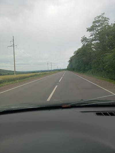 The image depicts a road view from inside a vehicle, looking forward. The road is asphalt with white dividing lines, and it curves slightly to the right. On the left side of the road, there is a field of yellow crops and rolling hills in the distance. Power lines on tall poles run along the left side of the road, extending into the distance. On the right side of the road, there is a dense forest with tall green trees. The sky is overcast with gray clouds. The foreground shows the dashboard and windshield of the vehicle. The location is identified as Otradnaya, Russia.