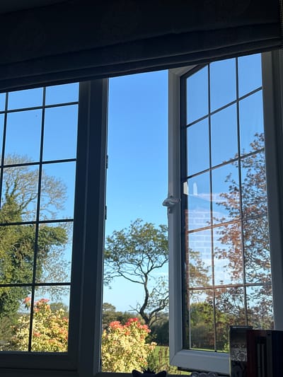 The image shows a view through an open window with multiple panes. Outside, there are trees and flowering bushes, suggesting a garden or park setting. The sky is blue and clear. Inside, a dark curtain is visible on the left side of the window. On the right, there are books on a shelf. The location is likely Wealden, United Kingdom. The specific content of the books on the shelf include "Drive Your Flow" by Diya Tokarczuk, "If Cats Disappeared from the World" and "John Fowles The Collector." The lighting suggests it is daytime.