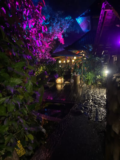 The image depicts an outdoor pathway at night, illuminated by vibrant purple and blue lights. Lush green foliage with purple highlights flanks the left side of the pathway, which is paved with dark, wet stones. To the right, a building with a thatched roof is visible, also lit by colored lights and featuring an umbrella. In the background, the scene suggests a tropical resort or restaurant in Blahbatuh, Indonesia, with the wet stone path hinting at recent rain or a water feature. The lighting creates a mystical and inviting atmosphere.