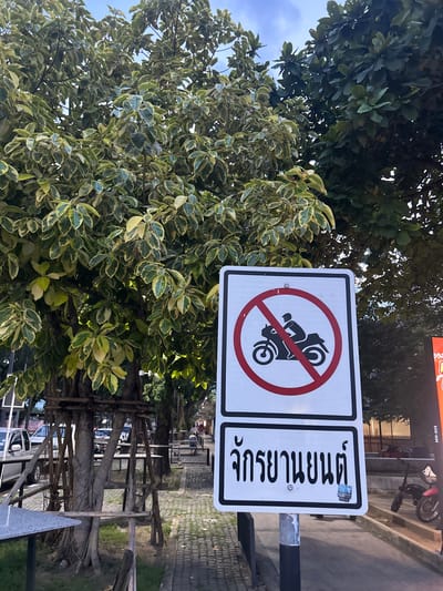 A vertical shot captures a "no motorcycles" sign in Thailand, positioned amidst lush greenery. The sign, a white rectangle with a black border, features a red circle with a diagonal line through it, encompassing a black silhouette of a motorcycle. To the right of the prohibition symbol, Thai text in bold black lettering is visible, reading "ห้ามจอดรถ" which translates to "No Parking". A small sticker with blue and white lettering is affixed to the upper right corner of the sign. The surrounding foliage consists of dense trees with broad leaves, some variegated with shades of green and yellow. Beyond the trees, a glimpse of a street and sidewalk can be seen, with parked vehicles and outdoor seating suggestive of a commercial area or public space. The lighting suggests it's daytime.
