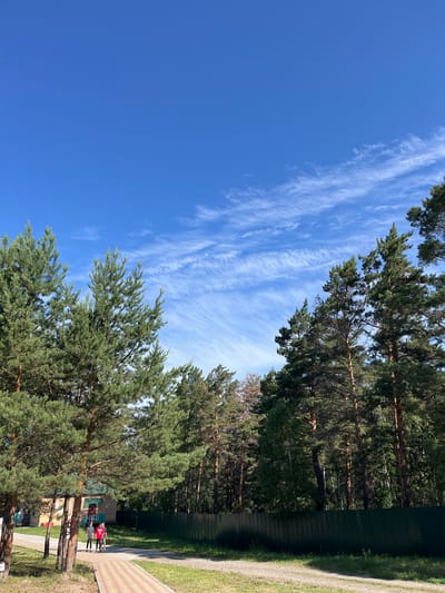 The image depicts a clear blue sky with wispy white clouds, above a dense forest of tall pine trees. In the foreground, a paved pathway with a reddish-brown and beige checkered pattern leads through a grassy area. To the left of the pathway, there is a small, light-colored building with a teal roof. Three individuals are walking on the pathway towards the building. A dark green metal fence runs along the edge of the forest. The scene appears to be an outdoor recreational area or a park, possibly within or near Lebyazhye, Russia, given the natural landscape and architecture.