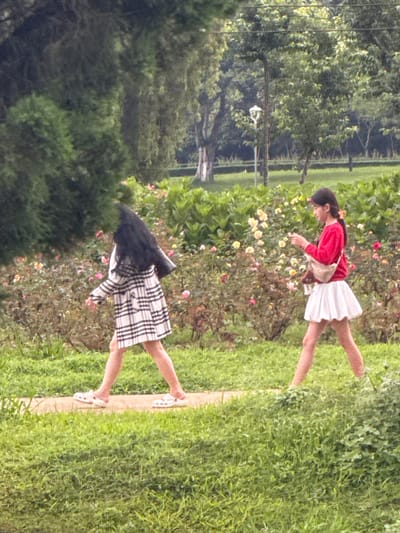 Two young women are walking on a paved path in Xuân Hương Lake park in Đà Lạt, Vietnam. The woman on the left is wearing a black and white plaid coat and black pants, and her hair is long and dark. She is carrying a black bag. The woman on the right is wearing a red long-sleeved shirt and a white skirt. She has her hair in a ponytail and is carrying a beige crossbody bag. The path is bordered by lush green grass and a flower garden with pink and yellow roses. Trees and foliage are visible in the background, and a lamppost stands to the left of the frame. The weather appears to be overcast.
