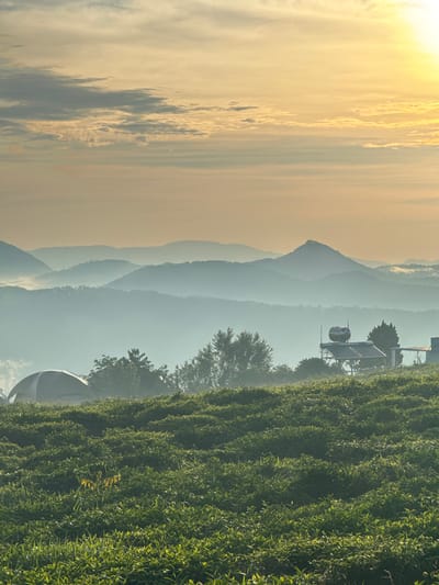 The image captures a serene landscape at sunrise in Phát Chi, Vietnam. The foreground is dominated by rolling hills covered in lush green foliage, possibly tea plantations, with a single sapling standing out in the middle. In the middle ground, several trees dot the landscape, and a dome-shaped structure is partially visible on the left. To the right, a solar water heater is mounted on a metal frame, with a building structure behind it. The background features a series of layered mountains fading into the distance, shrouded in a soft mist. The sky is a gradient of soft yellows and oranges, with wispy clouds, indicating the early morning sun. The overall atmosphere is peaceful and tranquil, showcasing the natural beauty of the Vietnamese countryside.