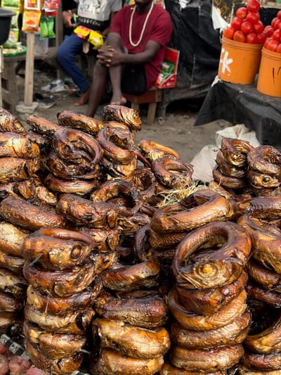 The image captures a bustling outdoor market scene, likely during the daytime, with a predominant focus on a large display of smoked fish.
In the foreground and central-right portion of the image, a massive pile of smoked fish is arranged, creating a rich textural and color contrast. The fish are dark brown to golden brown, appear dried or cured, and many are curled into C-shapes, often with their heads and eyes still visible, indicating they are whole fish. Some are loosely tied together with what looks like dried straw or fiber. The sheer quantity suggests they are a significant item for sale.
In the upper-left corner, two orange buckets are stacked, both filled to the brim with ripe, red tomatoes. A dark, possibly black, tarp or cloth covers the surface beneath the buckets.
On the left side of the frame, slightly out of focus, a person is seated on a low stool or directly on the ground. This individual is wearing a maroon or dark red short-sleeved shirt and dark shorts. A long, white beaded necklace hangs around their neck. Their legs are bent, and they appear to be resting or watching the market activity. Further behind this person, another individual in blue pants is partially visible, also seated.
The ground appears to be a light-colored, uneven, and somewhat dusty surface, consistent with an outdoor market setting. Various small items and packaging, some green and white, are scattered on the ground near the seated individuals, possibly indicating other goods for sale or personal belongings.
The overall atmosphere suggests an active trading environment, focusing on food items. The lighting is bright and even, indicating either an overcast day or a diffused light source, without harsh shadows. No discernible text is clearly visible in the image.