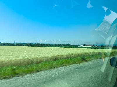 A sunny, clear blue sky hangs over a vast field of wheat, ready for harvest. A green strip of grass borders the road, suggesting a journey. Power lines dot the distant horizon, near a cluster of trees and structures. The image is taken from inside a vehicle; the side mirror and a portion of the car's interior are visible, with distortions on the glass.