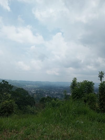 The image depicts a panoramic view from an elevated, grassy vantage point, looking across a valley towards a distant town identified as Vieng Phouka, Laos, under an overcast sky. In the foreground, a verdant slope is covered with long, green grass. Scattered small trees and dense foliage are visible on the immediate left and right sides of this foreground. The midground reveals an expansive landscape comprising numerous green hills densely covered with trees. Nestled within this hilly terrain, a settlement is visible, characterized by a cluster of buildings with light-colored roofs interspersed amongst the trees. No specific architectural details or individual structures are discernible due to the distance. The background consists of hazy, undulating hills extending towards the horizon. The sky occupies the upper two-fifths of the image, dominated by an extensive cover of white and light grey clouds, with patches of fainter blue sky visible through the cloud cover. No individuals or discernible activities are present in the scene. The overall lighting suggests a diffused, possibly overcast, daytime condition.