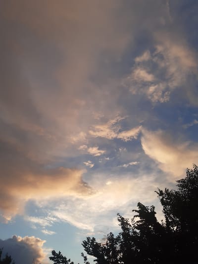 The image depicts a sky filled with clouds at dusk. The clouds exhibit a range of colors, from muted grays and purples to warm oranges and pinks, suggesting the setting sun is illuminating them. Patches of blue sky are visible between the clouds. Silhouetted against the sky are the dark shapes of tree branches in the foreground, some with leaves. The location is identified as Бактуу-Долоноту, Kyrgyzstan. The scene is entirely natural and serene, with no human presence or activity visible.