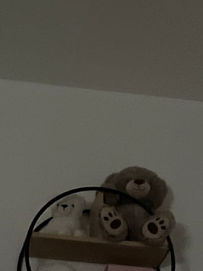 The image depicts an interior scene, likely a room, with no discernible information to identify a specific location within Rennes, France. The primary subjects are two stuffed animals situated on a light-colored wooden shelf. On the right, a light brown teddy bear is seated, facing forward, with its small dark nose and eyes visible. Its two feet, each featuring four dark paw pads, rest on the shelf. To the left of the teddy bear, a smaller white plush animal, possibly a dog or another bear, is partially visible, also seated on the shelf, with its dark nose and eyes discernible. The wooden shelf is supported or framed by a curved black wire or metal structure, visible in the foreground and wrapping around the shelf's sides. The background consists of a plain, light-colored wall, with a ceiling or upper wall section visible at an angle in the upper portion of the frame. The scene is dimly lit, contributing to a soft, low-contrast appearance. No people are present, and no actions or interactions are depicted.