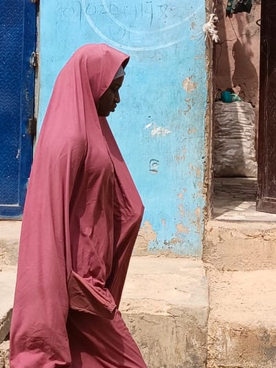 A lone individual is depicted in profile, facing right, against an outdoor urban backdrop in Zango, Nigeria. The person wears a full-length, deep pink or mauve garment covering the body and head, with a lighter-colored under-scarf visible at the forehead. To the left, a vibrant blue corrugated metal door is partially visible. Immediately behind the person is a weathered, light blue wall with peeling paint and faint white script and numerals, including "070204114 T7," scrawled near the top. To the right, an entranceway with a reddish-brown frame leads into shadow. Within this entryway, a small cluster of white artificial flowers is attached to the wall, and below them, a light grey, vertically ribbed object, possibly a sack, rests on a raised step. A small blue object is placed on top of the grey item. The ground consists of rough, light brown concrete steps and earth. The scene is illuminated by direct sunlight, casting shadows to the right of the subjects.