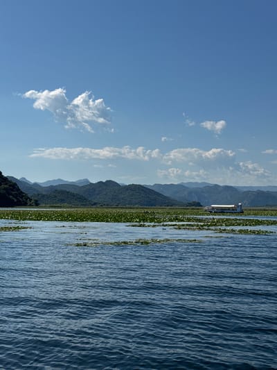 The image depicts a view of Skadar Lake in Dodoši, Montenegro. The scene includes the lake with rippling water on the right side of the frame. Water lilies cover a band of the lake. In the background is a boat and layers of mountains. The sky, with scattered clouds, fills the left side of the image.
