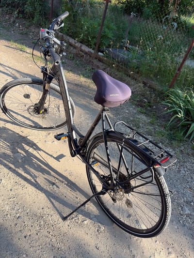 A black hybrid bicycle with a purple seat is parked on a dirt path. The bicycle has a rear rack and a kickstand. The scene is outdoors, with greenery and a fence in the background. The lighting suggests it is daytime, likely late afternoon due to the long shadows cast by the bicycle. The environment appears rural or on the outskirts of a town.