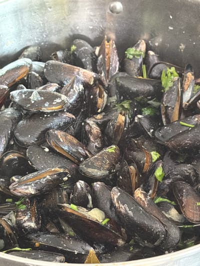 The image shows a close-up, overhead view of a large quantity of mussels in a metal pot. The mussels are mostly dark blue-black with some shells showing hints of brown and orange. Many of the mussels are slightly open, revealing the lighter-colored flesh inside. Small pieces of green herb, likely parsley, are interspersed among the mussels. Some white residue, possibly from cooking liquid or butter, is visible on the shells. The pot itself is a textured, metallic gray, with a circular indentation or button-like feature visible on the left side, suggesting it might be a cooking pot with a lid attachment. The lighting is somewhat diffuse, indicating an indoor setting. There is no visible text in the image. The scene appears to be a preparation or serving of cooked mussels, possibly a dish like moules marinières, given the presence of herbs and the cooking pot. The focus is entirely on the mussels and their immediate container, suggesting a culinary context.