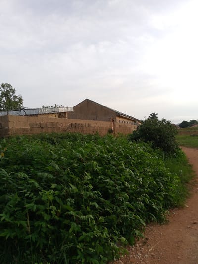The image depicts a street scene in Barakin Angundi, Nigeria, under an overcast sky. In the foreground, a dense thicket of green foliage lines the right side of a reddish-brown dirt path. Beyond the vegetation, a low, light-brown brick wall topped with barbed wire encloses a property. Graffiti is visible on the wall. Behind the wall, a single-story building with a peaked roof and yellow trim is partially visible. The building appears to be an institutional structure, possibly a school or administrative building. The overall impression is one of a rural or semi-urban environment, with a focus on natural overgrowth and functional, utilitarian architecture.