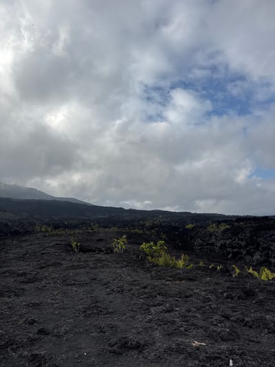 The image depicts a desolate, rocky landscape covered in dark volcanic rock. Sparse green vegetation, appearing as small bushes and ferns, is scattered across the foreground and midground, struggling to grow on the harsh terrain. In the background, a hazy mountain range with a few scattered trees rises against a cloudy sky. The sky itself is a mix of dark gray clouds and patches of brighter, lighter gray, with a few hints of blue peeking through. The overall impression is one of a rugged and somewhat bleak environment, likely shaped by volcanic activity. The location is not definitively identifiable as Kintamani, Indonesia from the image alone.