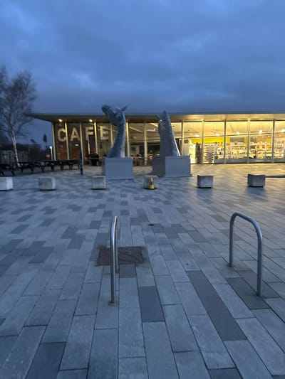The image depicts an outdoor paved area at dusk, located in Falkirk, United Kingdom, specifically identifiable by the presence of the Kelpies maquettes. The sky above is a uniform dark blue-grey, indicating overcast conditions and low natural light.
In the midground, two large, grey, metallic sculptures resembling horse heads emerge from rectangular grey pedestals. The sculpture on the left features a head angled downwards and slightly left, while the sculpture on the right presents a head angled sharply upwards. Between these two sculptures, a small yellow traffic cone is visible on the paving.
Behind the sculptures, a modern, single-story building with a wide glass facade is brightly illuminated from within by warm yellow lights. The word "CAFE" is prominently displayed in large, white, illuminated letters on the left side of the building's exterior. Indistinct figures of people are visible through the glass, seated inside the cafe. To the far left of the building, several dark picnic-style tables with benches are arranged outdoors.
The foreground and midground feature an expansive paved surface composed of rectangular grey and darker grey paving stones laid in an alternating pattern. Several cubic concrete blocks, likely bollards or planters, are scattered across this paved area. Two silver, U-shaped bicycle racks are present in the immediate foreground.
On the far left of the image, bare deciduous trees are visible against the dark sky. No clear actions or interactions are occurring in the outdoor scene; the sculptures are static, and the visible people are contained within the illuminated cafe interior.