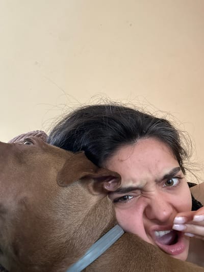 In Malevo, Bulgaria, a close-up, downward-angle selfie captures a woman's face contorted in a grimace as a brown dog nuzzles against her cheek. The woman's eyes are wide and her mouth is open, revealing her teeth. Her dark hair is messy, with strands falling across her forehead. The dog's fur is short and smooth, and its head is positioned to obscure part of the woman's face. A gray collar is visible around the dog's neck. The background is a plain, light-colored wall, suggesting an indoor setting.