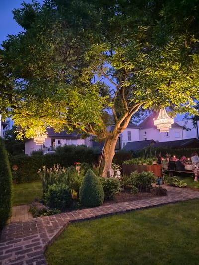 This is a nighttime, full-shot, eye-level photograph of a garden in Bettembourg, Luxembourg. The scene is illuminated by warm, artificial light, primarily from two chandeliers hanging from a large tree. The tree, with its dense green foliage and thick trunk, dominates the center of the frame. Its branches are lit from below, creating a dramatic effect.
In the background, residential buildings with illuminated windows are visible. The garden itself features a brick pathway winding through it, leading to a seating area. A group of people, appearing to be adults, are gathered around a table for what seems to be an outdoor dinner. They are mostly silhouettes against the soft lighting, with some details of their clothing visible. Some individuals are seated, while others are standing. The table is set with what appear to be plates and lit candles, contributing to the ambient light.
Various plants and garden ornaments are present, including a conical-shaped shrub, taller reedy plants, and flowering plants in a planter. A hedge lines the perimeter of the garden. The sky is a deep twilight blue, indicating it is early evening. The overall impression is one of an intimate, staged gathering in a well-maintained garden.