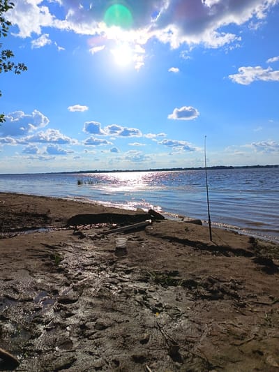 A picturesque scene unfolds on the sandy shore of a wide body of water, likely a river or lake, under a bright, sunny sky. The sun, a radiant orb with a green lens flare, is positioned high in the sky, casting a shimmering path of light across the water's surface. Fluffy white clouds dot the brilliant blue expanse, creating a dynamic and cheerful atmosphere.

On the shore, a fishing rod stands upright, poised for action. Nearby, a small, clear plastic bucket rests on the damp, muddy ground, suggesting recent use or preparation for fishing. The foreground is characterized by the textured, uneven earth, with patches of water reflecting the sunlight and scattered debris like twigs and dry grass. A thin stream of water trickles down the bank towards the main body of water. In the distance, a dark line of trees marks the far bank of the water, creating a serene horizon.

The overall impression is one of peaceful solitude and the simple joy of outdoor recreation. The time of day is clearly midday, indicated by the high sun. The weather is fair and sunny, perfect for a day by the water. The scene evokes a sense of calm and relaxation. No visible text is present in the image.