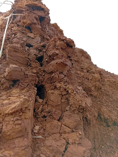 The image depicts a close-up view of a reddish-brown, eroded soil formation. The texture is rough and fragmented, with visible layers and cracks indicating natural weathering. A few thin, dry plant stems are intertwined with the soil in the upper left portion of the image. The background is dominated by a bright, overcast sky, suggesting an outdoor environment under diffused light conditions. The soil appears to be a natural embankment or a disturbed ground surface, likely in an area experiencing erosion. This scene could potentially be found in the city of Kuru, Nigeria, which is known for its laterite soil formations that are susceptible to erosion, particularly in areas with exposed earth.