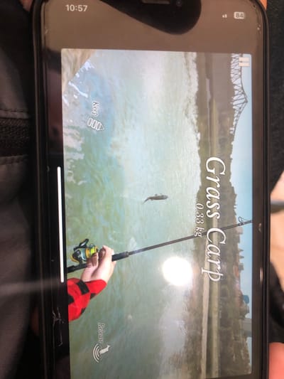 A vertical shot of a black smartphone displays a fishing simulation game. The phone's screen shows a river scene, identified by the prompt as depicting Ortabatumi, Georgia. A "Grass Carp" weighing "0.33 kg" is depicted leaping from the water in the center of the screen. A digital representation of hands, one clad in a red and black checkered sleeve, holds a fishing rod with a yellow and green reel positioned in the lower-left quadrant. The river's background features distant buildings, trees, and a prominent dark metal truss bridge spanning the water. Game interface elements include "Keep" with a basket icon in the upper-left, and "Release" with a circular wave icon in the lower-right. A white vertical bar is visible along the left edge of the game interface. The phone's top bezel displays "10:57" on the left and a signal strength icon followed by "84" (indicating battery percentage) on the right. The phone screen exhibits minor scratches and a bright circular reflection in the lower-middle portion.