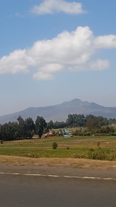 A landscape view reveals a mountain in the distance under a partly cloudy sky. Lush green fields and trees fill the middle ground, interspersed with a few buildings. A road runs along the bottom of the image, with a white line marking the edge. The sky is a mix of blue and white, and the overall scene appears peaceful.